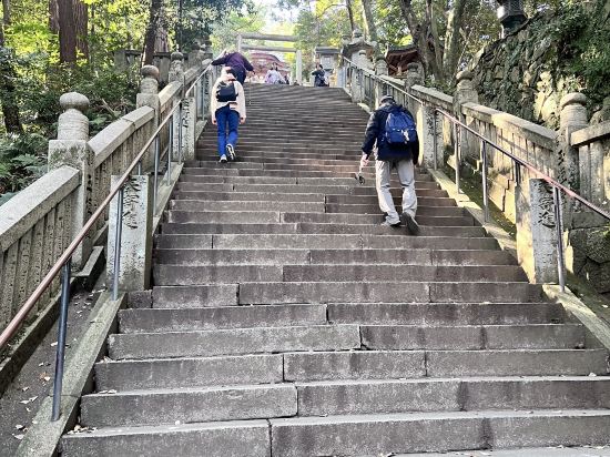 ことひら温泉琴参閣 クーポン