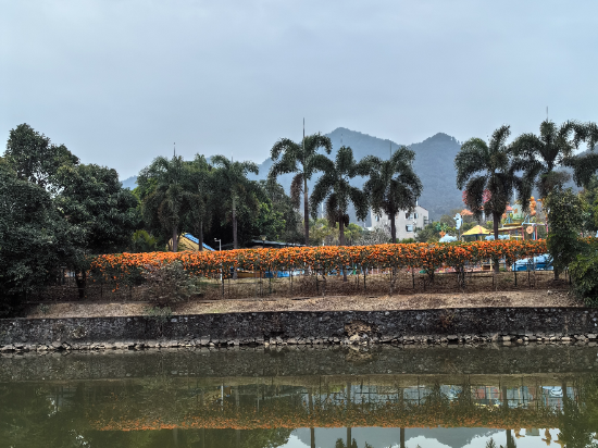 清遠新景泉温泉度假區優惠
