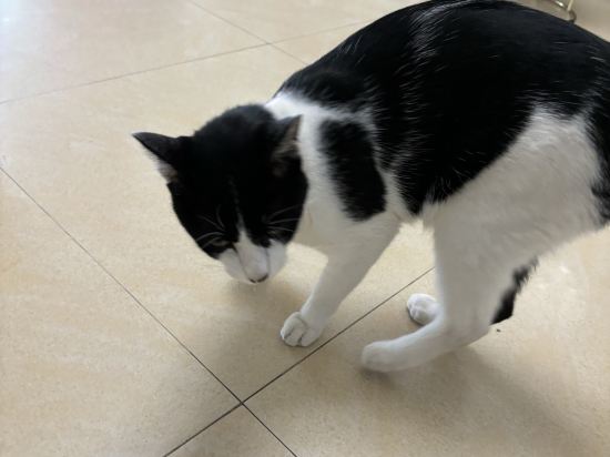 鼓浪嶼緣中園休閒度假別墅優惠