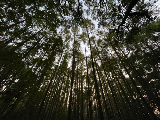 上海西郊賓館優惠