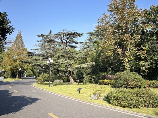 上海西郊賓館優惠