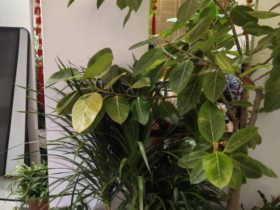 西湖竹澗憶塘民宿優惠