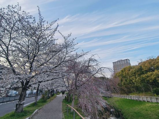 大和Roynet酒店岐阜優惠