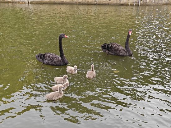 中山温泉賓館優惠