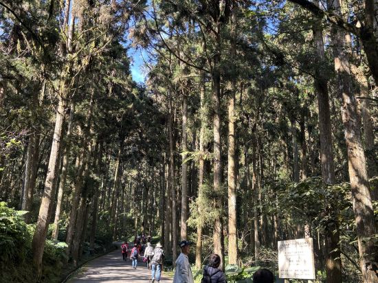 溪頭福華渡假飯店優惠