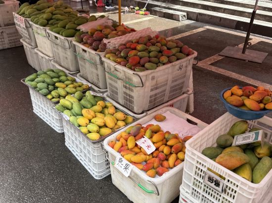 芒果樹酒店（攀枝花高鐵南站店）優惠