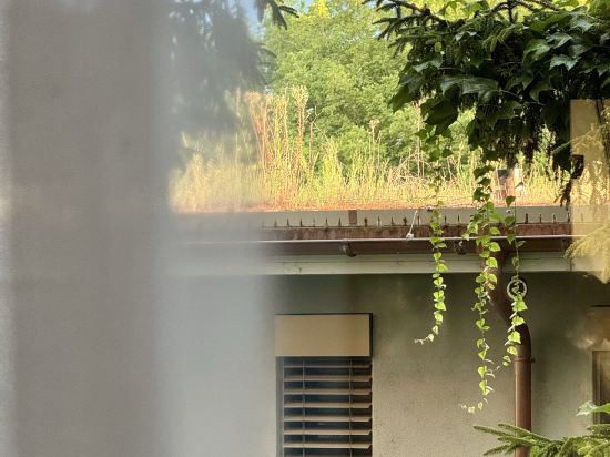 蘇黎世EMA之家套房酒店優惠