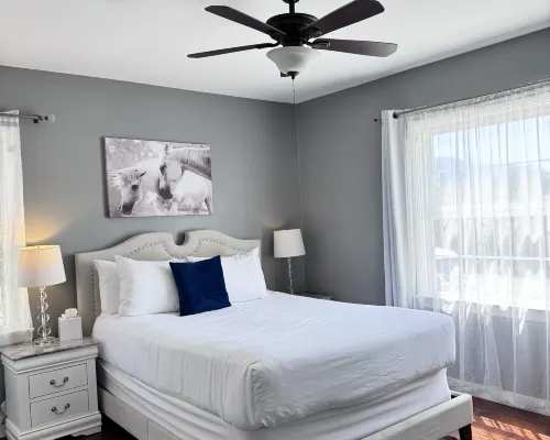 New Haven Inn Rooms Photos