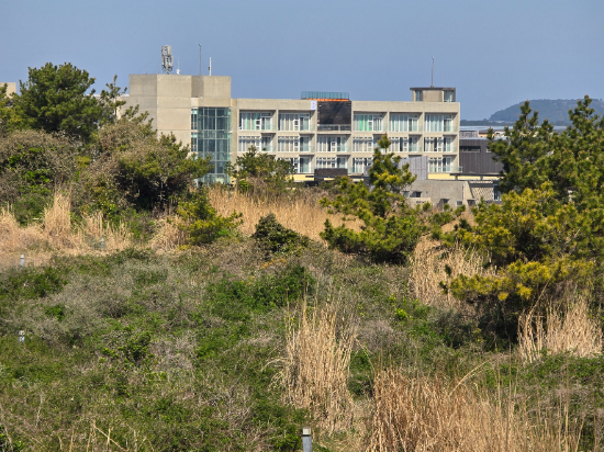 휘닉스 제주 섭지 코지 쿠폰