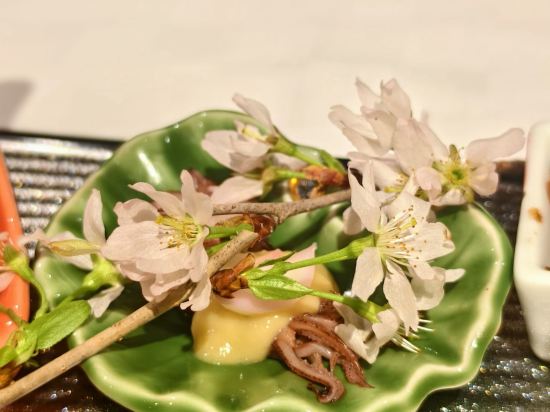 伊豆稻取溫泉濱之湯飯店優惠
