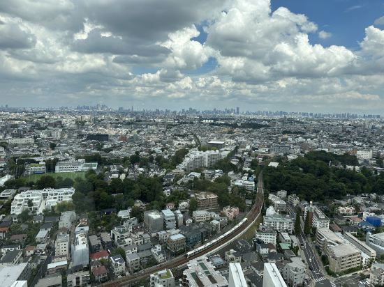 東急二子玉川卓越大飯店優惠