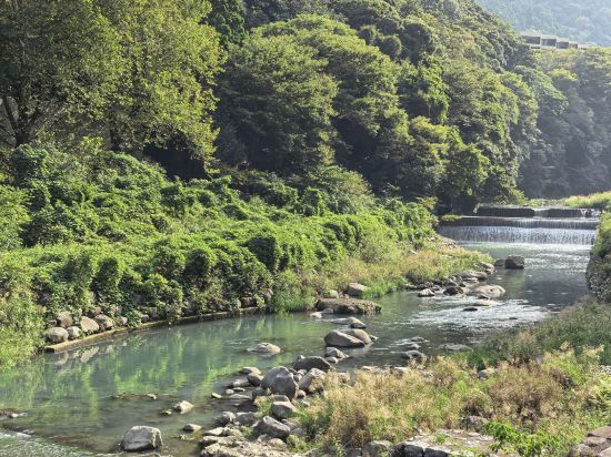 湯本富士屋ホテル クーポン