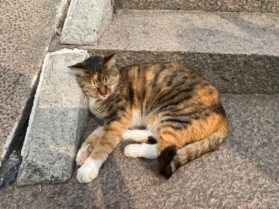 周莊沐瀾·梵麗設計度假美宿優惠