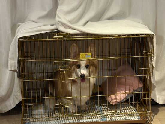 深圳蛇口希爾頓南海酒店優惠