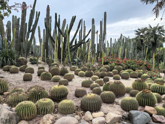 笙品假日飯店（廈鼓碼頭海上世界店）優惠