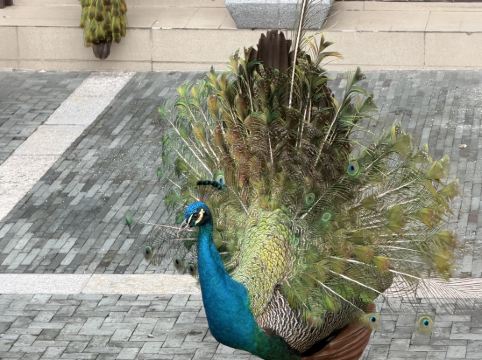 陽朔悦榕莊優惠