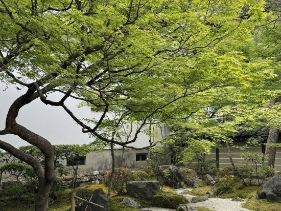天然温泉 浪華の湯 ドーミーイン大阪谷町 クーポン