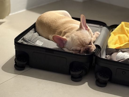 小徑民宿-後壁湖海景館優惠