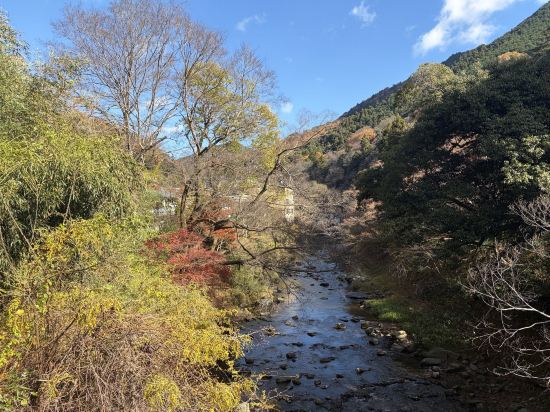 ホテルマイステイズ京都四条 クーポン