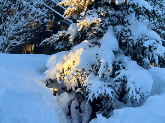 ホテルシェラリゾート白馬 クーポン