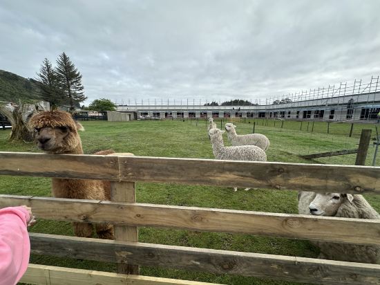 羅託路亞世外桃源旅舍優惠