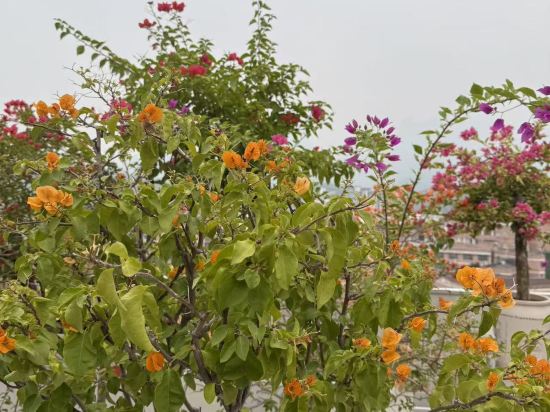 張家界肖恩城堡優惠