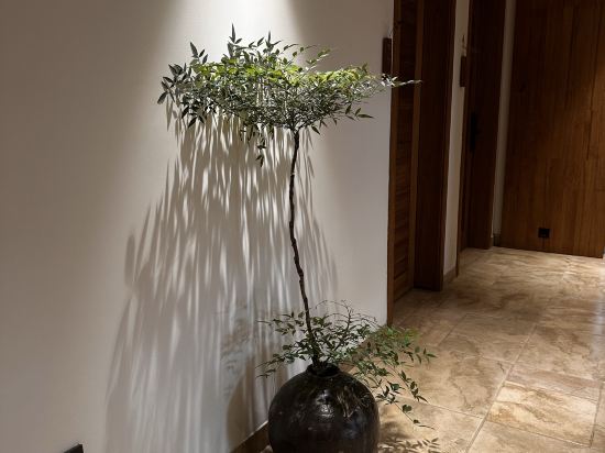 陽朔雲上谷度假酒店優惠