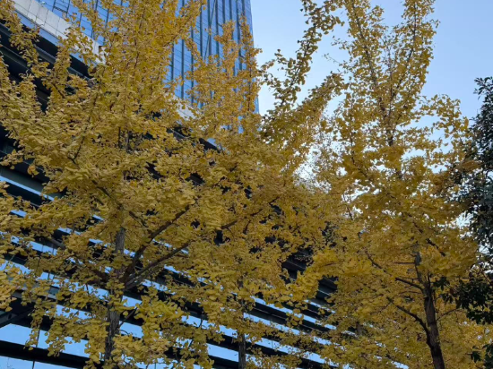 義烏博覽皇冠假日酒店優惠