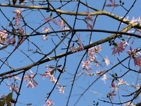 清遠熹樂谷温泉度假酒店優惠