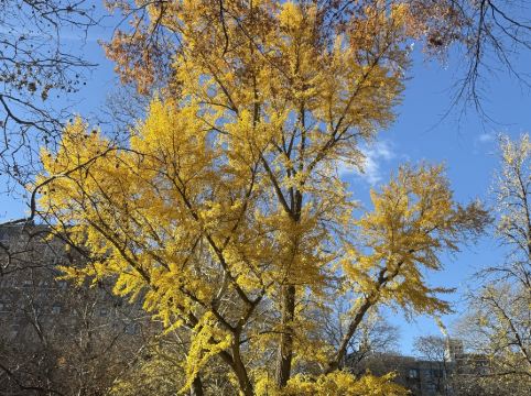仁川機場温德姆豪生酒店優惠