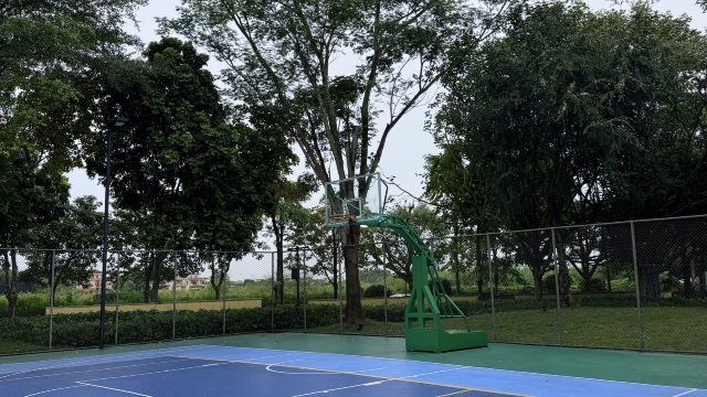 review picture