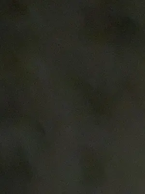 Fairfield by Marriott Bengaluru Rajajinagar Photos