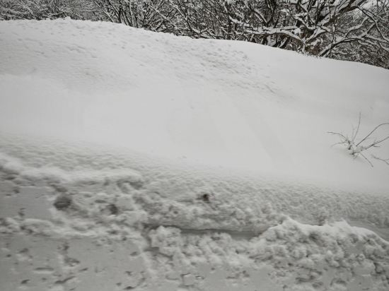 湯の台温泉　鳥海山荘 クーポン