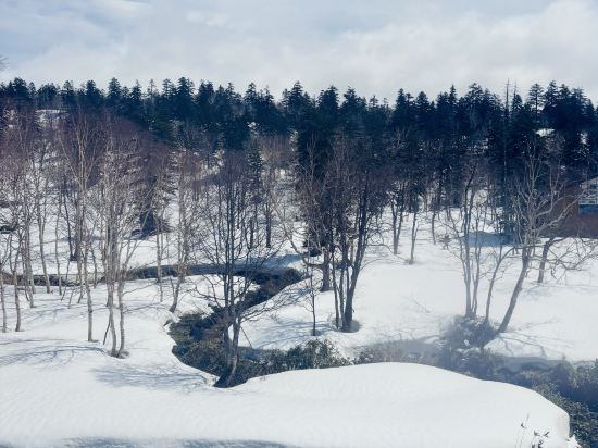 旭岳温泉 ホテルベアモンテ クーポン