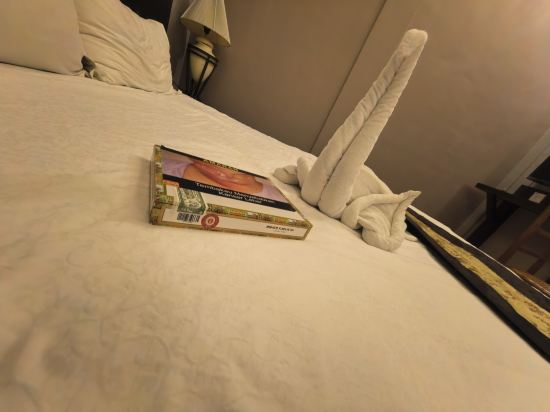 馬六甲雞場街精品酒店優惠