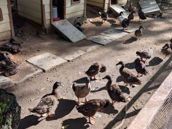 宿霧蒙特貝羅別墅飯店優惠