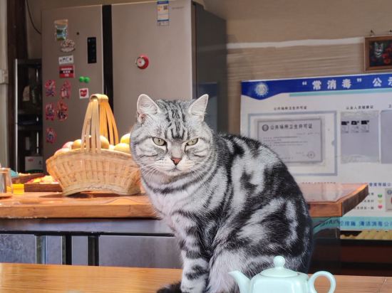 玉龍善哉善哉精緻客棧優惠