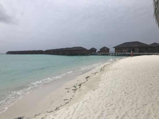 馬爾代夫呼爾胡維拉海灘椰子樹酒店優惠