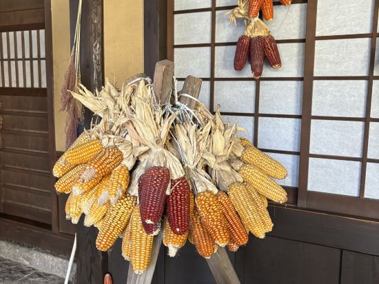 やすらぎの宿　宿房　あそ クーポン