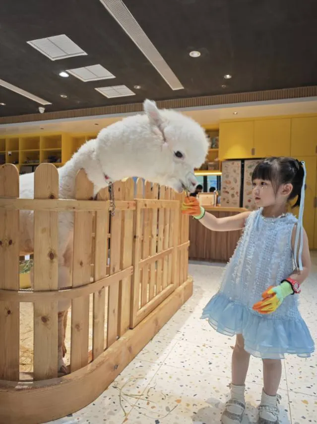 深圳佳兆業萬豪酒店用戶評價