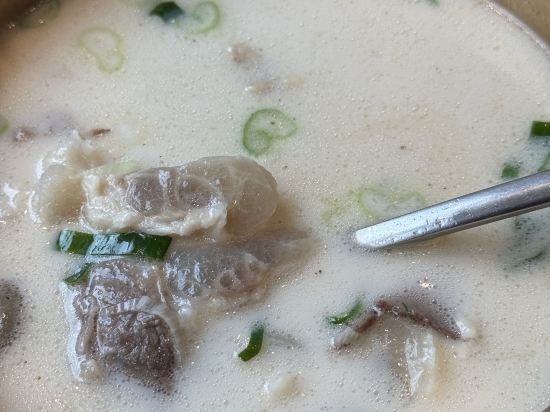 로이넷호텔 서울 마포 쿠폰