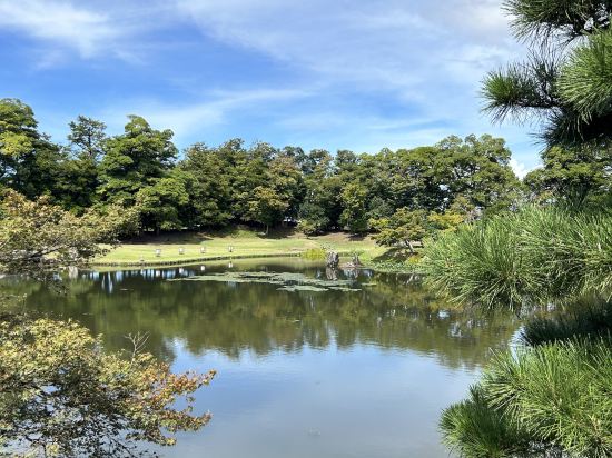 東橫INN彥根站東口優惠