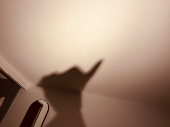 皇冠假日伯明翰城市酒店&度假村優惠