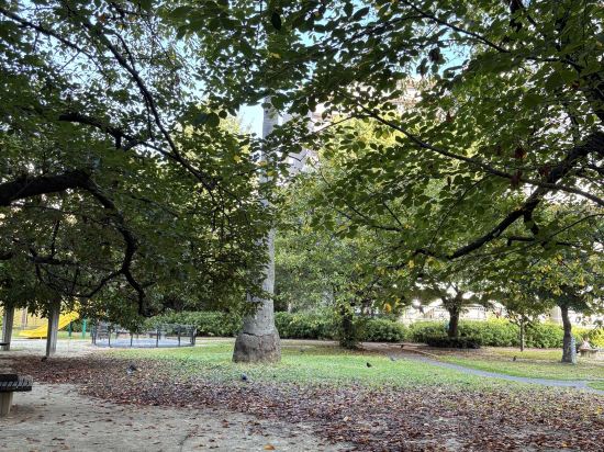 ホテルユニゾ博多駅博多口 クーポン