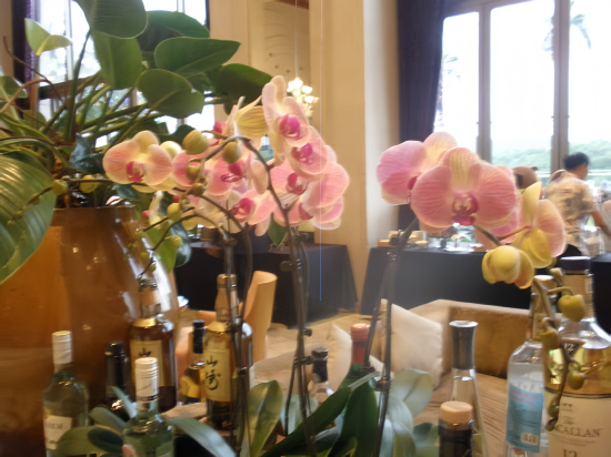 東莞觀瀾湖度假酒店優惠