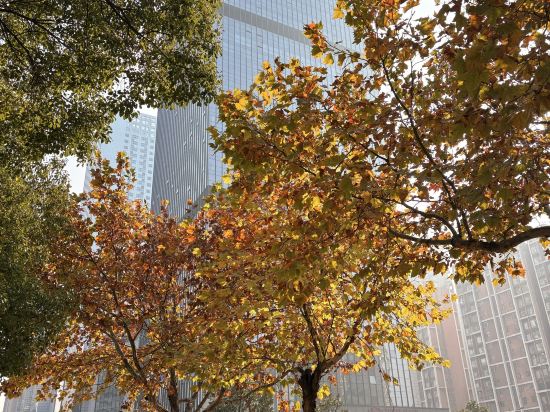 長沙世景廣場皇冠假日酒店優惠