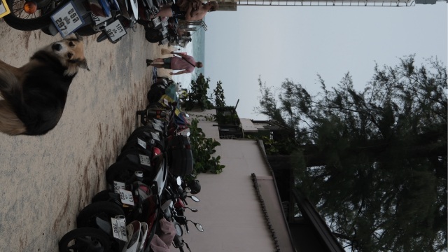review picture