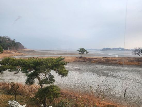 알라딘 펜션 안산 쿠폰