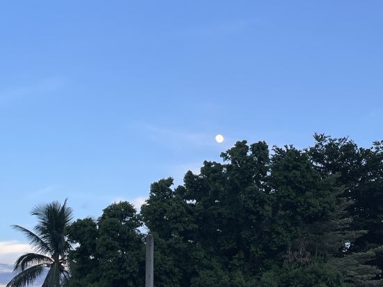 新竹哈密瓜Motel-竹北館優惠