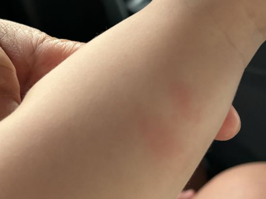 新加坡宜必思快捷-水晶（SG Clean） （Staycation Approved）優惠